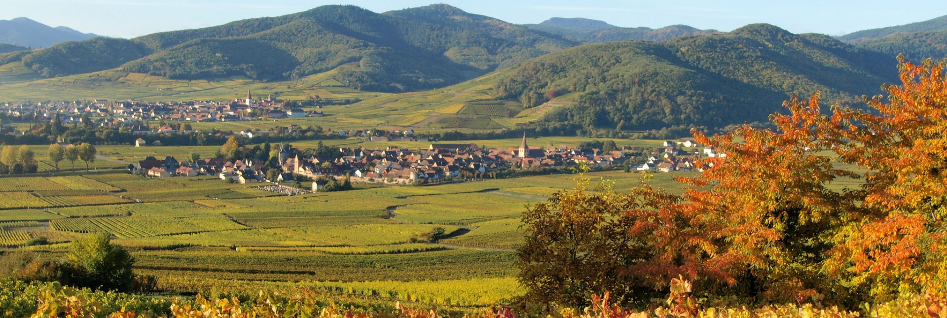 Kientzheim